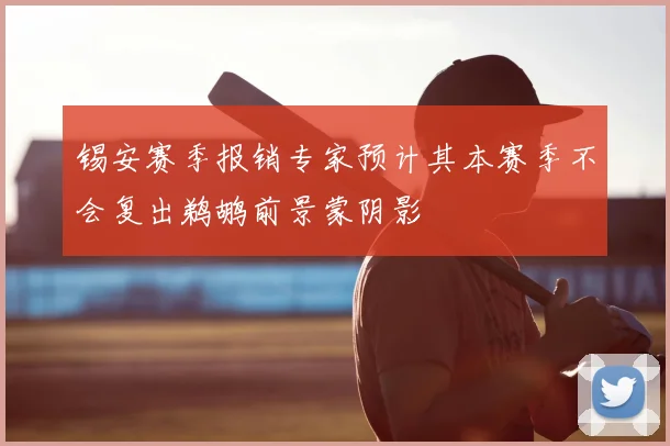 锡安赛季报销专家预计其本赛季不会复出鹈鹕前景蒙阴影