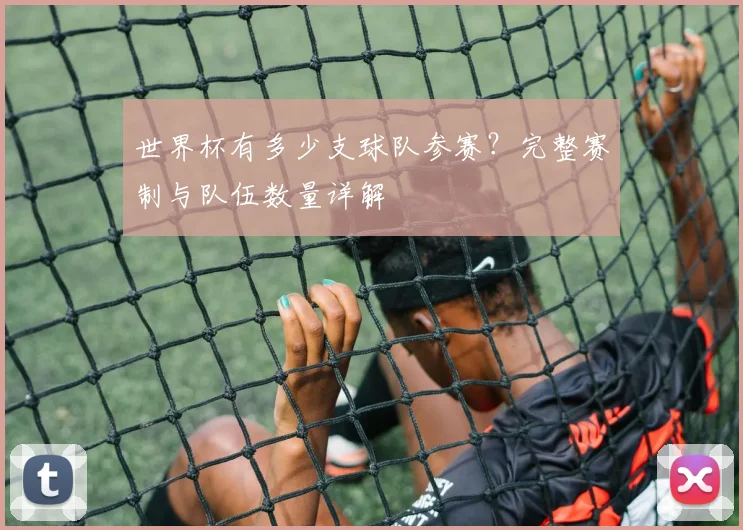 世界杯有多少支球队参赛?完整赛制与队伍数量详解