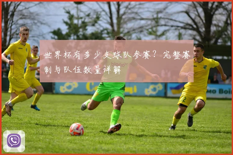 世界杯有多少支球队参赛?完整赛制与队伍数量详解