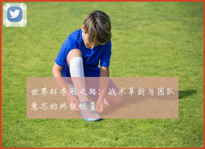 世界杯夺冠之路:战术革新与团队意志的终极较量