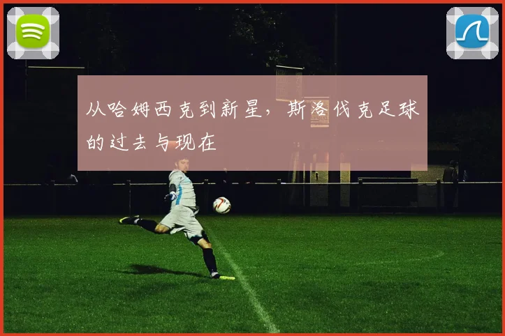 从哈姆西克到新星，斯洛伐克足球的过去与现在