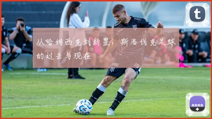 从哈姆西克到新星，斯洛伐克足球的过去与现在