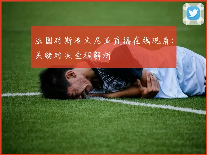 法国对斯洛文尼亚直播在线观看：关键对决全程解析