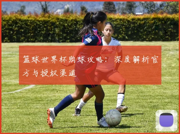 篮球世界杯购球攻略：深度解析官方与授权渠道