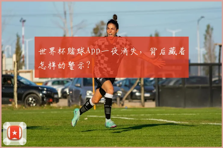 世界杯赌球App一夜消失，背后藏着怎样的警示？